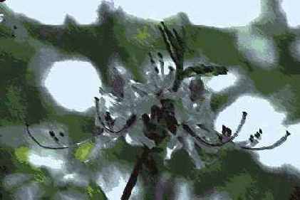 Фильтры подменю Artistic