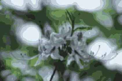 Фильтры подменю Blur