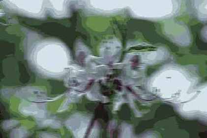 Фильтры подменю Blur
