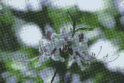 Фильтры подменю Pixelate