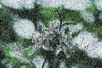 Фильтры подменю Pixelate